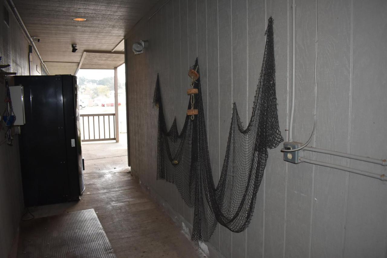 Lighthouse Cove Inn باندون المظهر الخارجي الصورة A cast net hanging on a wall